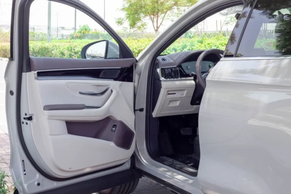 BYD SongPlus DM-i Flagship Smart Driving 2025 version Plug-in hybrid electric vehicle - 图片 4
