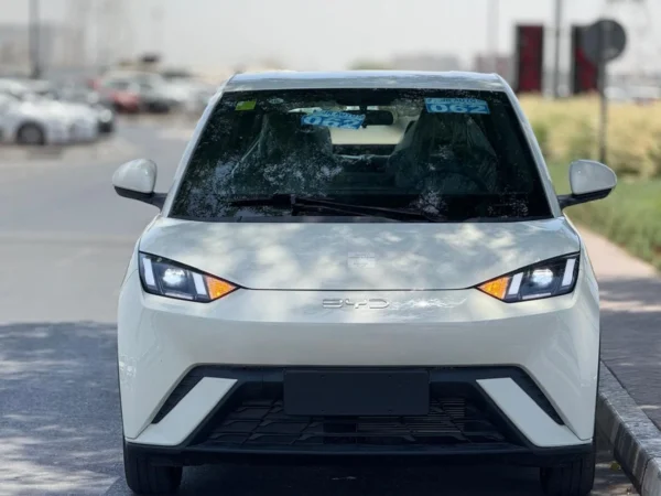 BYD Seagull 405km Flying Professional china car export and wholesale  - 图片 5