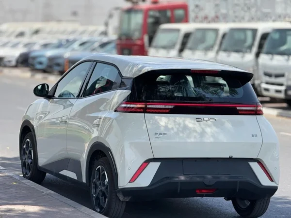 BYD Seagull 405km Flying Professional china car export and wholesale  - 图片 6