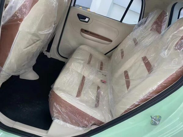 DONGFENG Tiger MINICAR EV;Both for RHD&LHD - 图片 9