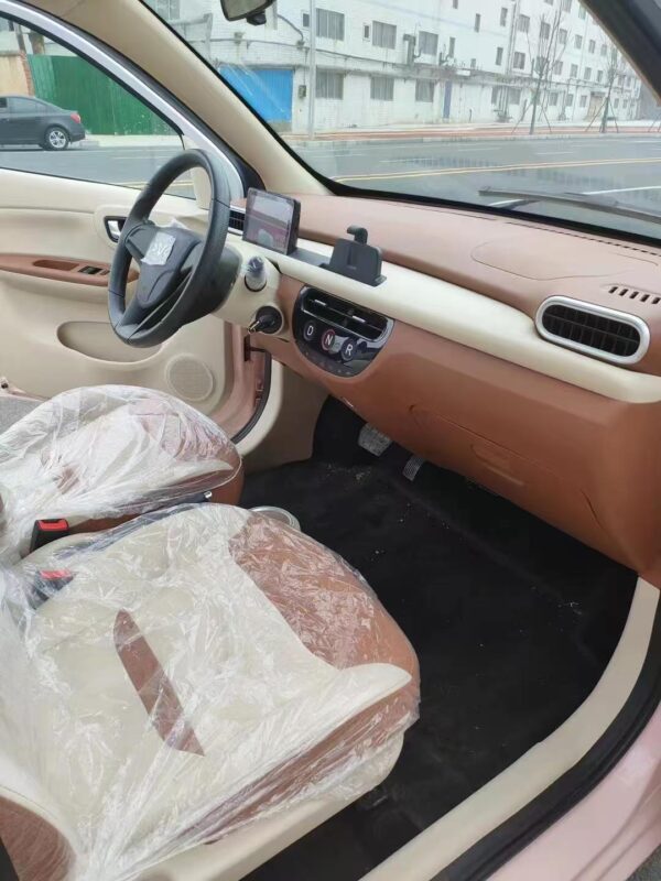DONGFENG Tiger MINICAR EV;Both for RHD&LHD - 图片 7