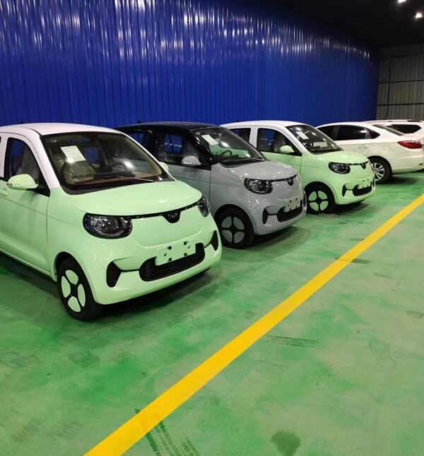 DONGFENG Tiger MINICAR EV;Both for RHD&LHD - 图片 6