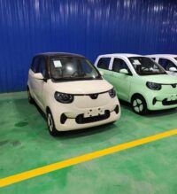 DONGFENG Tiger MINICAR EV;Both for RHD&LHD
