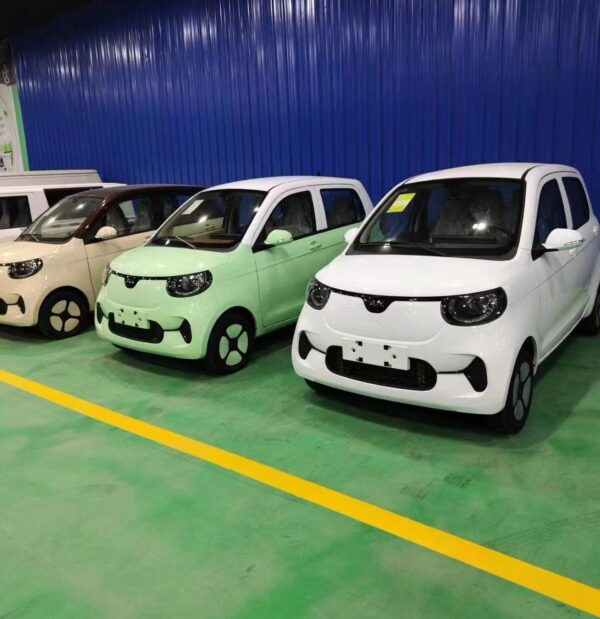DONGFENG Tiger MINICAR EV;Both for RHD&LHD - 图片 2