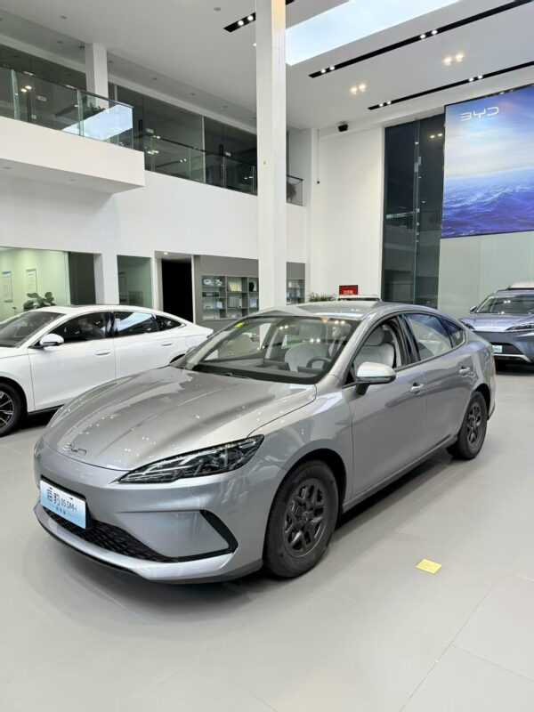BYD Seal05 Hybrid 2025 55KM Lux - 图片 2