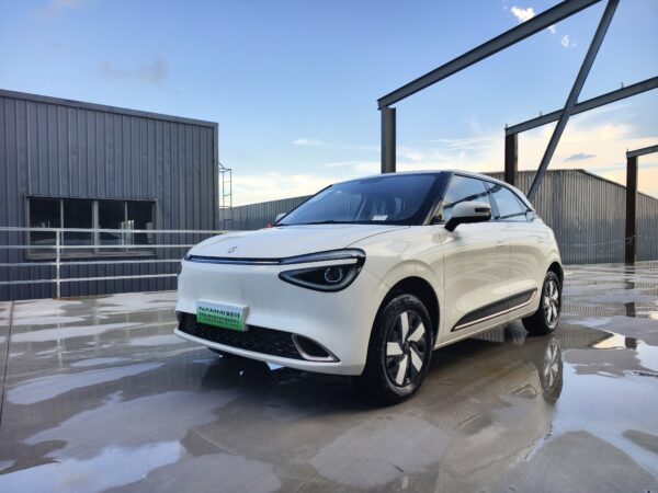 NAMMI01 Electric Vehicles