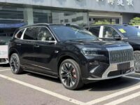 Zeekr 8X SUV International version
